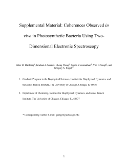 Dimensional Electronic Spectroscopy