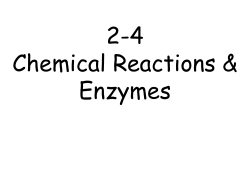 Chemical Reaction Occurs