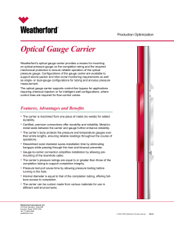 Optical Gauge Carrier - Weatherford International