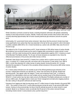BC Forest Wake-Up Call: Heavy Carbon Losses Hit