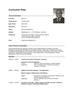Baudouin Azamo Tameze, PhD Financial Statistics (October 2007)
