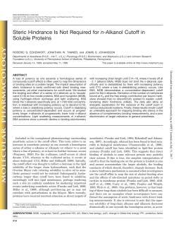 Steric Hindrance Is Not Required for n