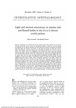 Light and electron microscopy on plasma cells and Russell