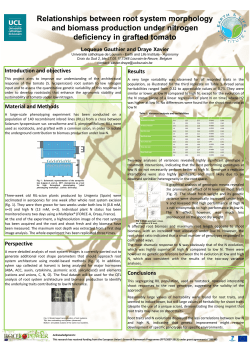 Relationships between root system morphology and