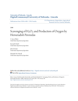 and Production of Oxygen by Horseradish Peroxidas