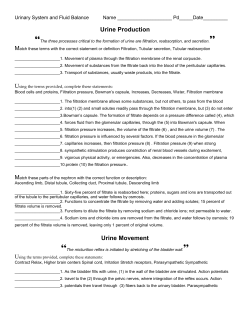 Urine Production - Belle Vernon Area School District