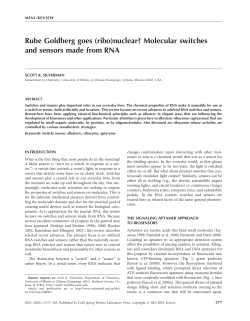 (ribo)nuclear? Molecular switches and sensors made from RNA