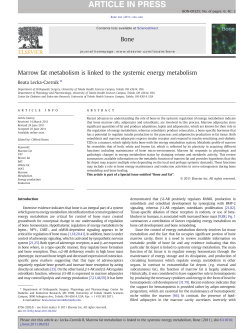 Marrow fat metabolism is linked to the systemic energy metabolism