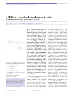 Is AKR2A an essential molecular chaperone for a class of