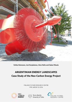 ARGENTINIAN ENERGY LANDSCAPES Case Study of the Neo