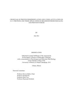 crosstalk of protein phosphorylation and lysine