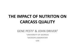 2 0.60% Ca 0.24%nPP - 0.30% Ca 0.14%nPP P + 1A 3 0.60% Ca