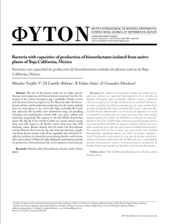Bacteria with capacities of production of biosurfactants isolated from