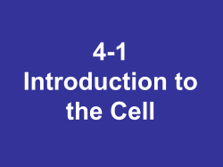 The Cell Theory