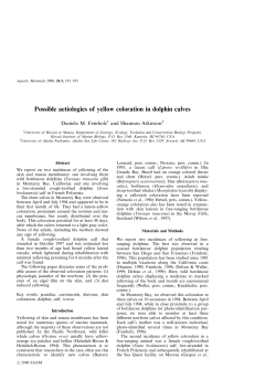Possible aetiologies of yellow coloration in dolphin calves