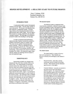 HEIFER DEVELOPMENT: A HEALTHY START TO FUTURE PROFITS