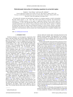 Hydrodynamic interaction of swimming organisms in an inertial regime