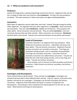 12-1 What are producers and consumers?