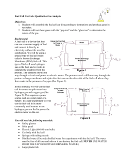 Fuel Cell Car Lab: Qualitative Gas Analysis Objectives: 1. Students