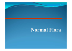 Normal flora of the skin