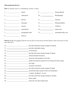 Macromolecules Worksheet #2