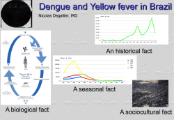 Slide sem t&iacute;tulo