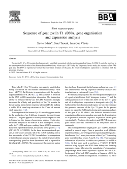 Sequence of goat cyclin T1 cDNA, gene organisation and