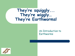 They`re Earthworms!