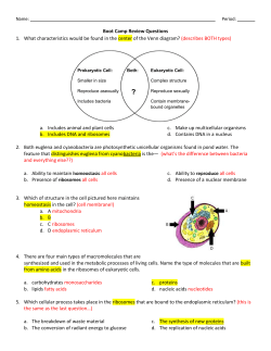 2/4 * 2/4 = 4/16 = &frac14; = 25%