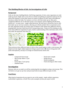 NGSS Cell Investigation