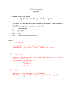 assignment 4 answer