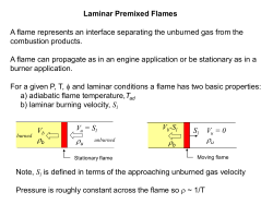 Combustion Theory Section 5