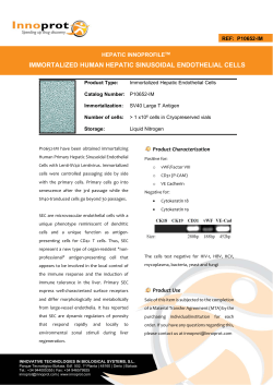 immortalized human hepatic sinusoidal endothelial cells