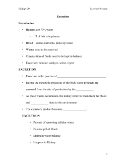 Excretion