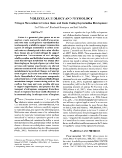 Nitrogen Metabolism in Cotton Stems and Roots During