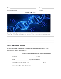 The 3 major components of DNA are