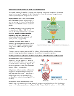 Introduction to Aerobic Respiration and its link to Photosynthesis We
