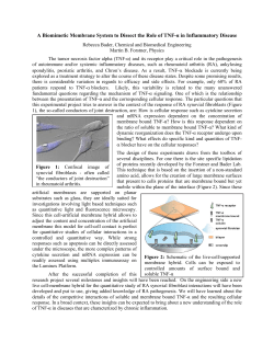 A Biomimetic Membrane System to Dissect the Role of TNF