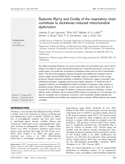 Subunits Rip1p and Cox9p of the respiratory chain contribute to