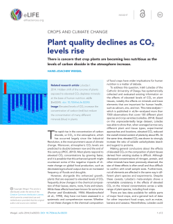 Crops and Climate Change: Plant quality declines as CO2 levels