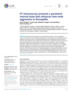 P1 interneurons promote a persistent internal state that enhances