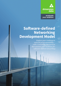 Software-defined Networking Development Model