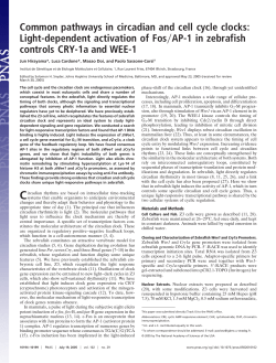Common pathways in circadian and cell cycle clocks: Light