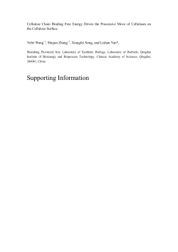 Cellulose Chain Binding Free Energy Drives the Processive Move of