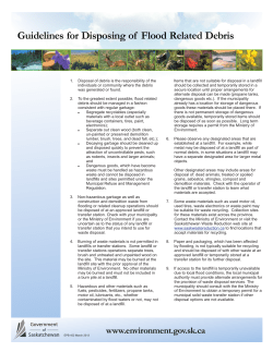 Flood Recovery - Debris