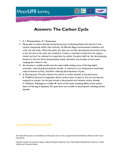 Answers: The Carbon Cycle