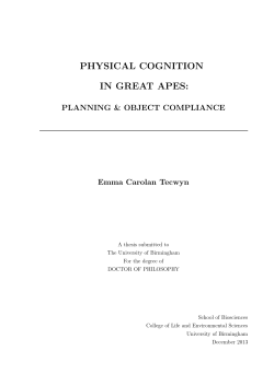 Physical cognition in great apes: planning