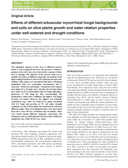 Effects of different arbuscular mycorrhizal fungal backgrounds and