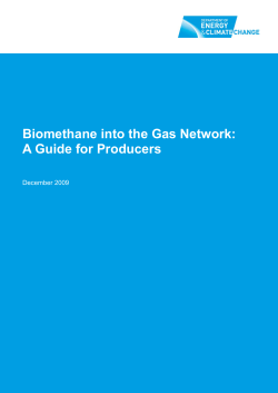 Biomethane into the Gas Network