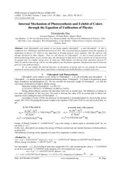 Internal Mechanism of Photosynthesis and Exhibit